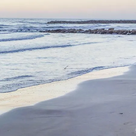 In With Wifi * Scoglitti